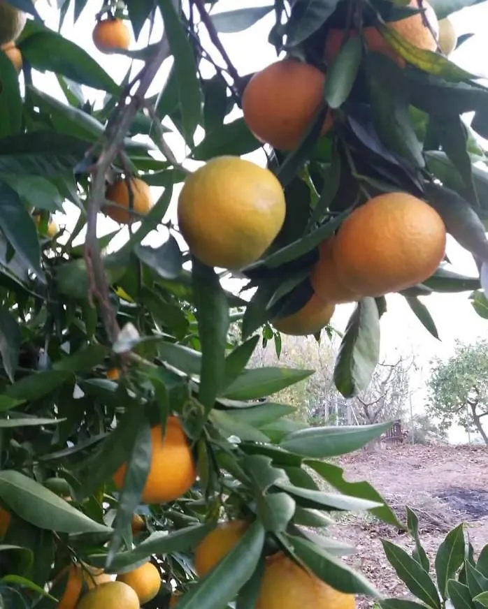 Nyaraló El Vergel Cazorla